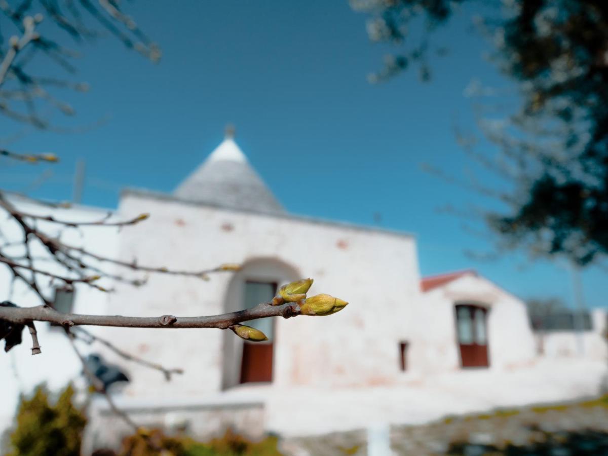 Rifugio Di Puglia - Trulli & Dimore * Alberobello